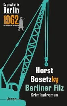 Horst Bosetzky Berliner Filz обложка книги