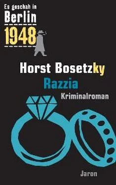 Horst Bosetzky Razzia обложка книги