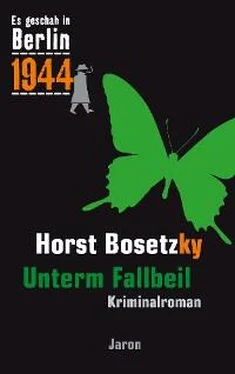 Horst Bosetzky Unterm Fallbeil обложка книги