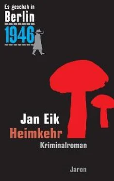 Jan Eik Heimkehr обложка книги