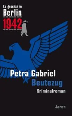 Petra Gabriel Beutezug обложка книги