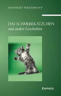 Manfred Wiedemann Das Schmusekätzchen und andere Geschichten обложка книги