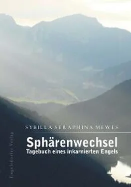 Sybilla Seraphina Mewes Sphärenwechsel – Tagebuch eines inkarnierten Engels обложка книги