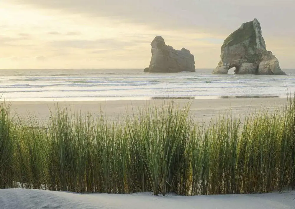 Archway Islands am Wharaiki Beach bestehen aus vier kleinen Felseninseln - фото 49