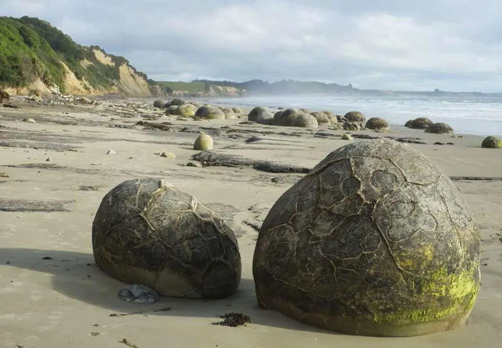 33 Curio BayPorpoise Bay Weltweit einzigartig In den einsamen Catlins im - фото 51