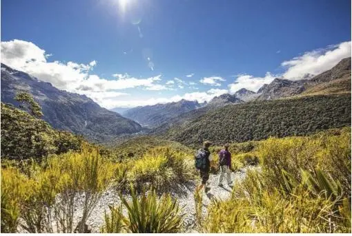 Auch wer im Fiordland National Park entlang der Milford Road nur wenig Zeit zum - фото 67