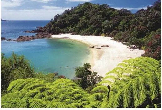 Der Strand bei Raglan an der Ostküste gilt als einer der weltweit besten - фото 48