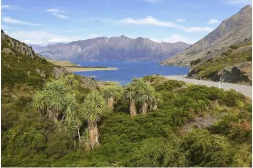 Wie sein bekannter Nachbarsee Lake Wanaka ist der Lake Hawea in zentraler Lage - фото 91