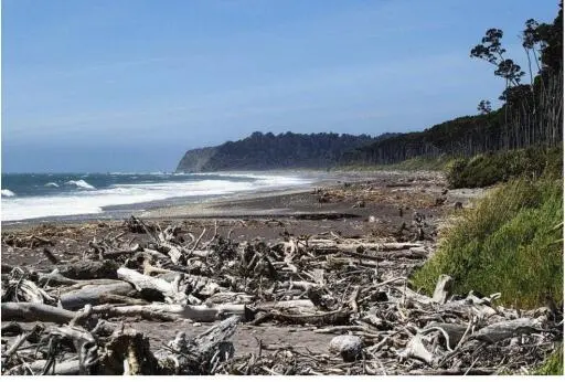 Auf halben Weg zwischen Haast und dem Fox Glacier liegt die zehn Kilometer - фото 55