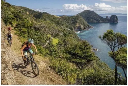 Der Küstenwanderweg Coromandel Coastal Walkway verbindet auf einer Länge von - фото 68
