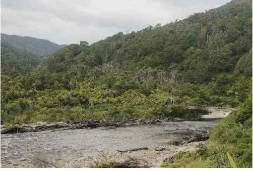 Inmitten des weniger populären Kahurangi National Park gilt der wenig - фото 77