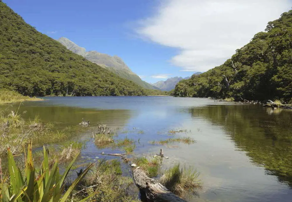 53 Abel Tasman Coast Track Liebling der Wanderer Eine Natur die Wanderer - фото 73