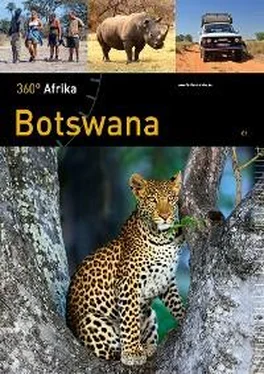 360° medien gbr mettmann Botswana обложка книги