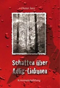 Dieter Janz Schatten über Adlig-Linkunen обложка книги