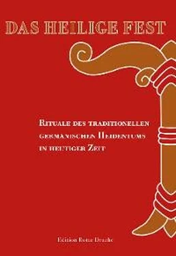 Fritz Steinbock Das Heilige Fest обложка книги
