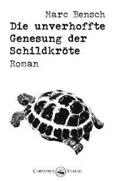 Marc Bensch Die unverhoffte Genesung der Schildkröte обложка книги