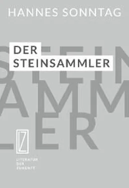 Hannes Sonntag Der Steinsammler обложка книги