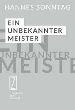 Hannes Sonntag Ein unbekannter Meister обложка книги