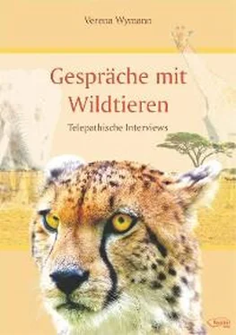 Verena Wymann Gespräche mit Wildtieren обложка книги