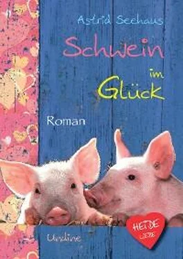 Astrid Seehaus Schwein im Glück обложка книги