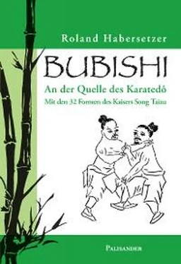 Roland Habersetzer Bubishi обложка книги