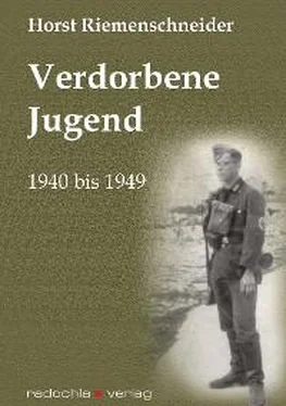 Horst Riemenschneider Verdorbene Jugend обложка книги