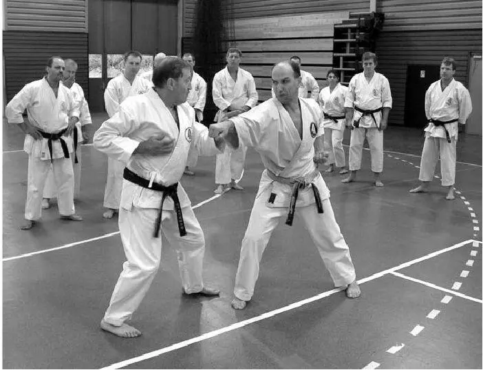 Foto 1 Roland Habersetzer Sensei auf einem Lehrgang bei Straßburg Er leitet - фото 4