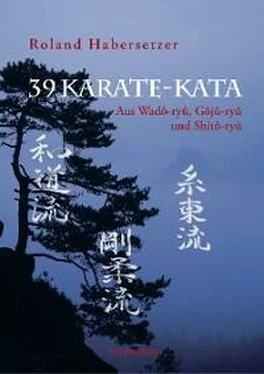 Roland Habersetzer 39 Karate-Kata обложка книги