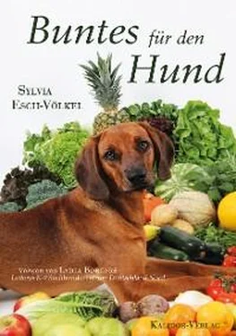 Sylvia Esch-Völkel Buntes für den Hund обложка книги