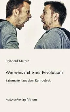 Reinhard Matern Wie wärs mit einer Revolution? обложка книги