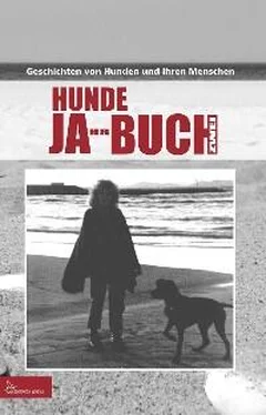 Неизвестный Автор HUNDE JA-HR-BUCH ZWEI обложка книги