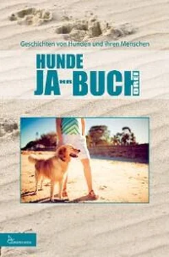 Неизвестный Автор HUNDE JA-HR-BUCH DREI обложка книги