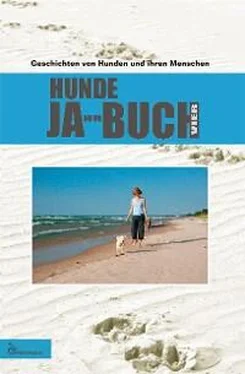 Неизвестный Автор HUNDE JA-HR-BUCH VIER обложка книги