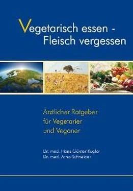 Dr. med. Hans-Günter Kugler Vegetarisch essen - Fleisch vergessen обложка книги