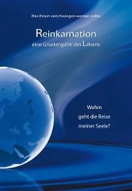 Gabriele Reinkarnation обложка книги