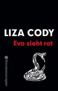 Liza Cody Eva sieht rot обложка книги