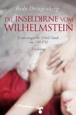 Bodo Dringenberg Die Inseldirne vom Wilhelmstein обложка книги