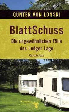 Günter von Lonski BlattSchuss обложка книги