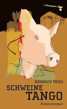 Heinrich Thies Schweinetango обложка книги