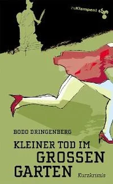 Bodo Dringenberg Kleiner Tod im Großen Garten обложка книги