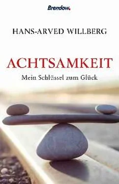 Hans-Arved Willberg Achtsamkeit обложка книги