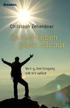 Christoph Zehendner Soviel Leben gönn ich mir обложка книги