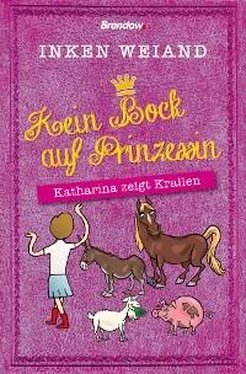 Inken Weiand Kein Bock auf Prinzessin! обложка книги