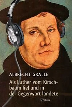 Albrecht Gralle Als Luther vom Kirschbaum fiel und in der Gegenwart landete обложка книги