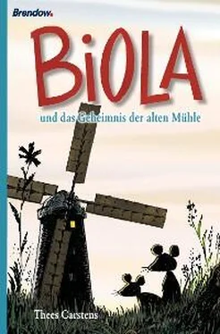 Thees Carstens Biola und das geheimnis der alten Mühle обложка книги