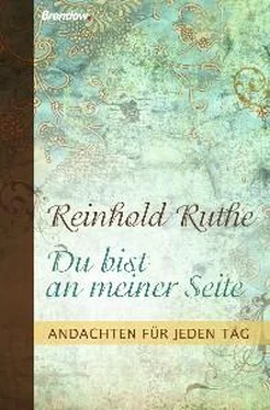 Reinhold Ruthe Du bist an meiner Seite обложка книги