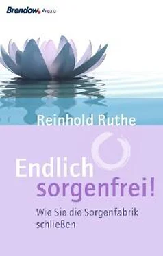Reinhold Ruthe Endlich sorgenfrei! обложка книги