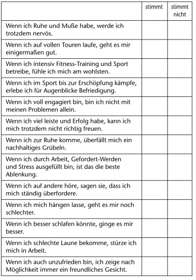 Hinweise für den Selbsterforschungsfragebogen Perfektionismus Ehrgeiz - фото 3
