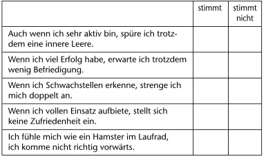 Hinweise für den Selbsterforschungsfragebogen Perfektionismus Ehrgeiz - фото 2