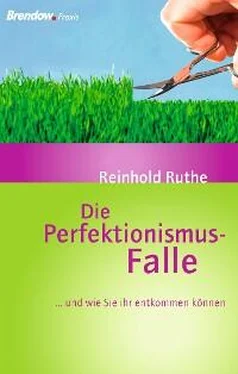 Reinhold Ruthe Die Perfektionismus-Falle обложка книги